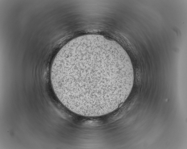 X0000111130364200907281056