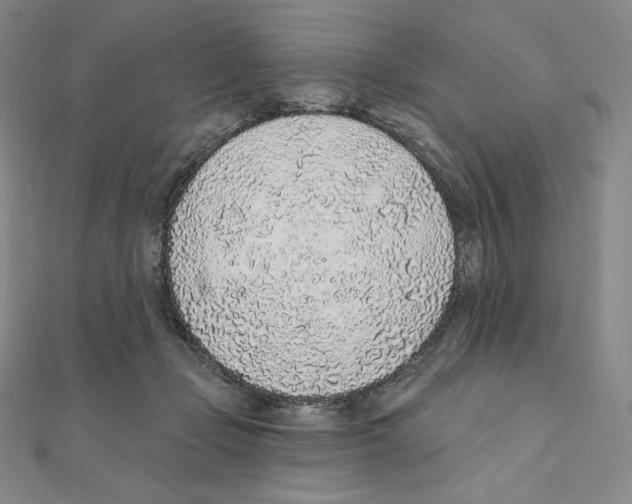 X0000111130365200907281056