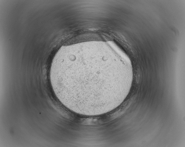 X0000111130366200907281056
