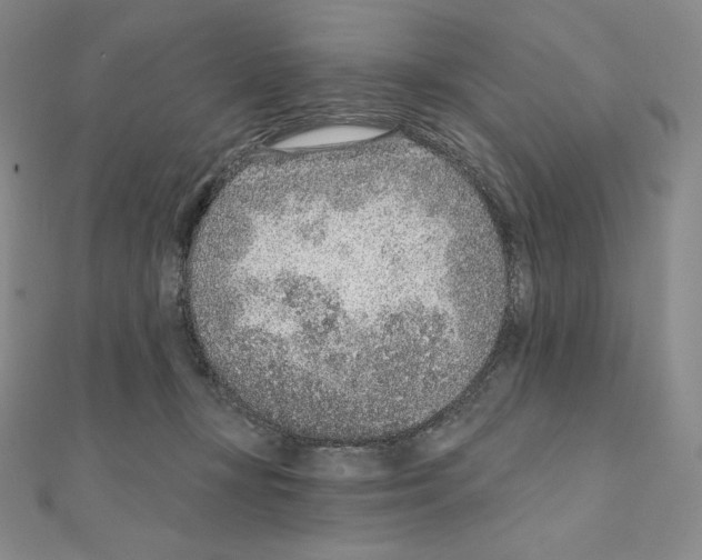 X0000111130367200907281056