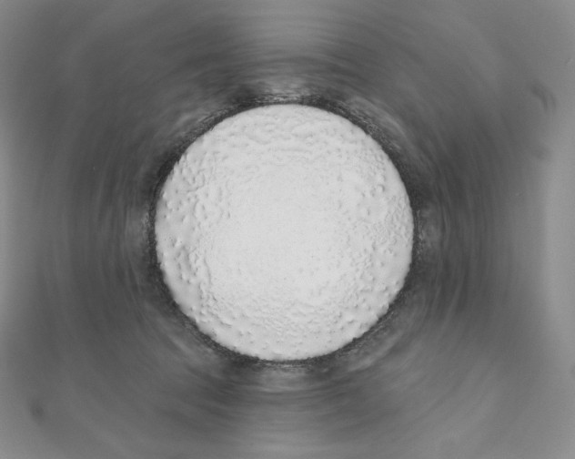 X0000111130369200907281056