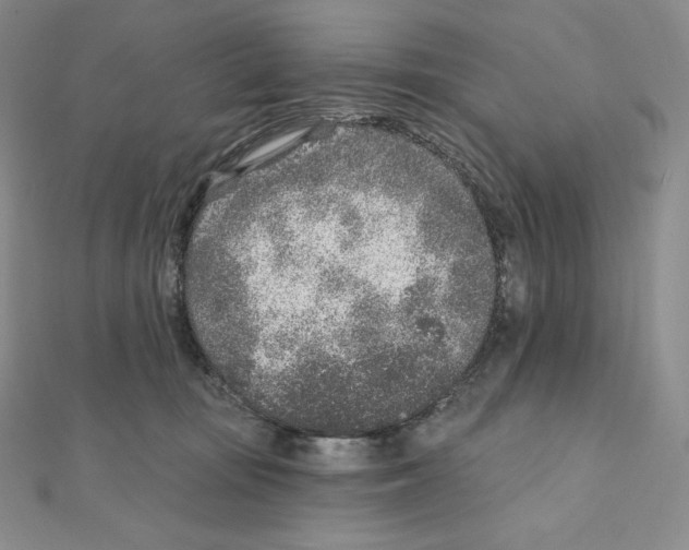 X0000111130371200907281056
