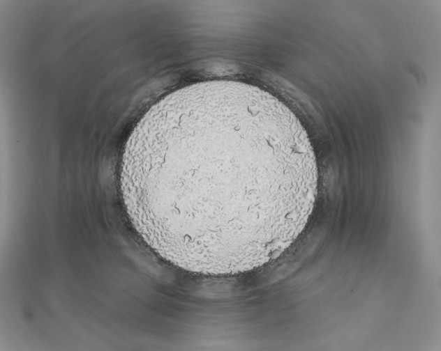 X0000111130373200907281056