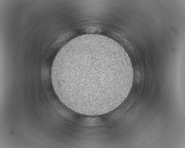 X0000111130375200907281056