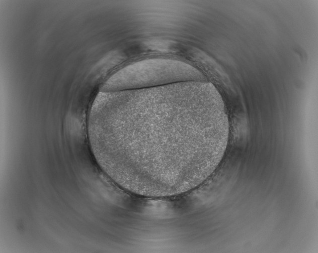 X0000111130376200907281056