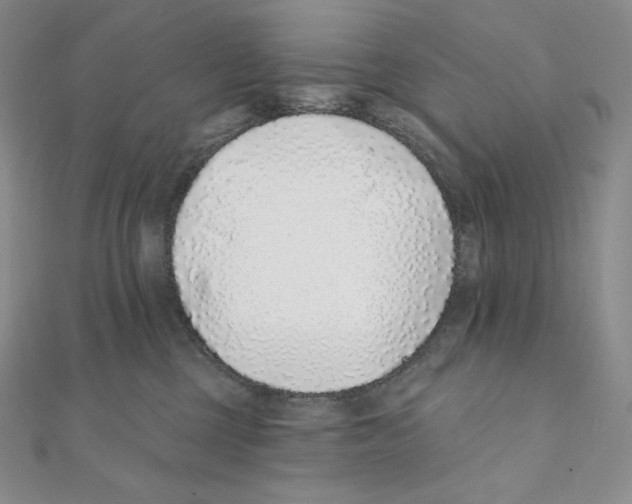 X0000111130377200907281056