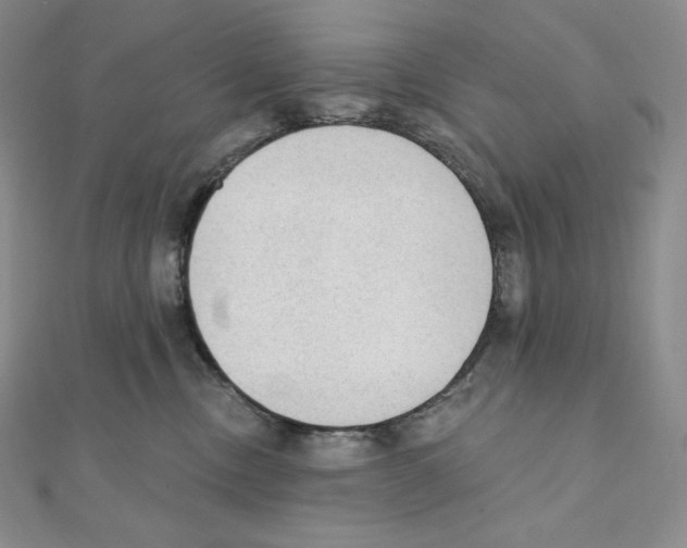 X0000111130378200907281056