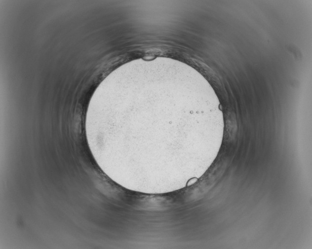 X0000111130379200907281056