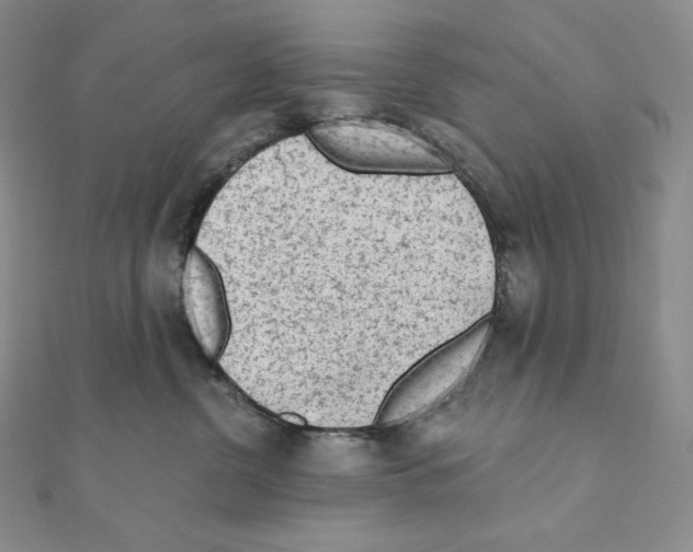 X0000111130380200907281056