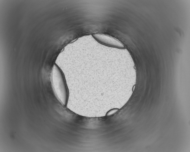X0000111130384200907281056