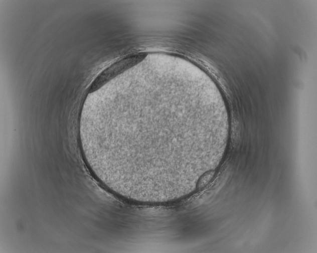 X0000111130385200907281055