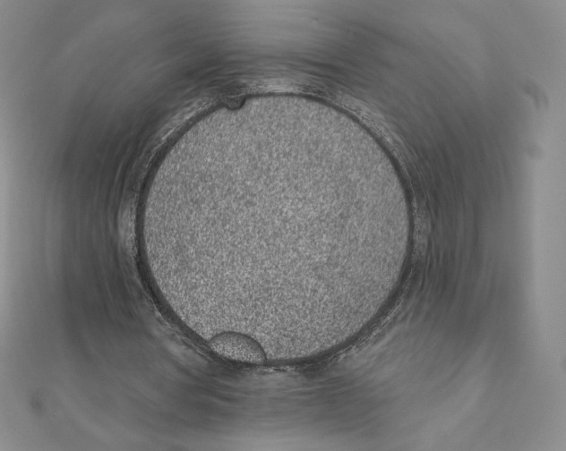 X0000111130386200907281055
