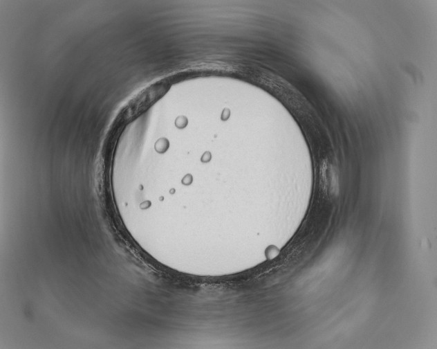 X0000111130388200907281055