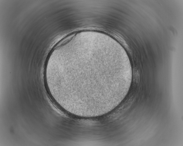 X0000111130389200907281055