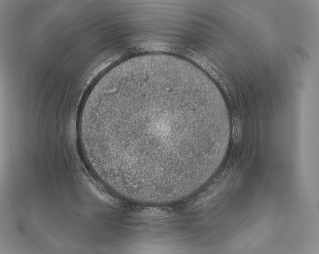 X0000111130390200907281055