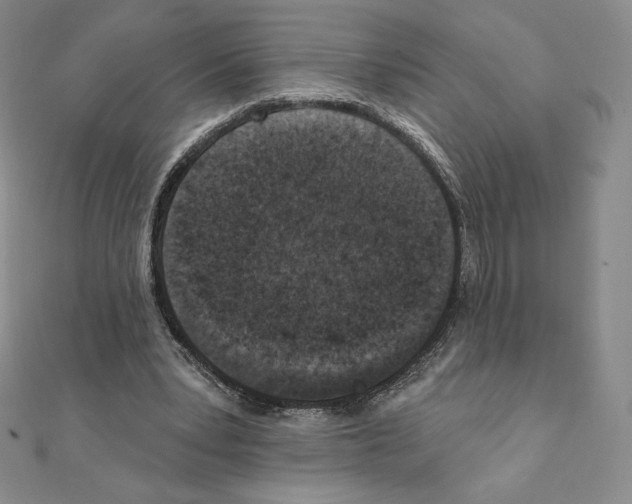 X0000111130391200907281055