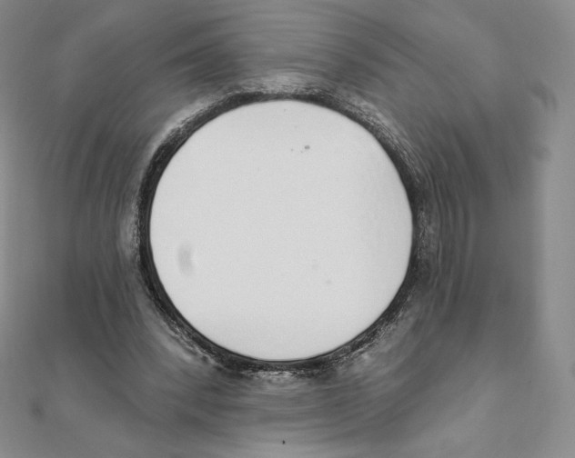 X0000111130392200907281055