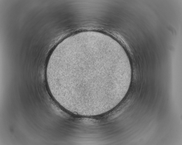 X0000111130393200907281055