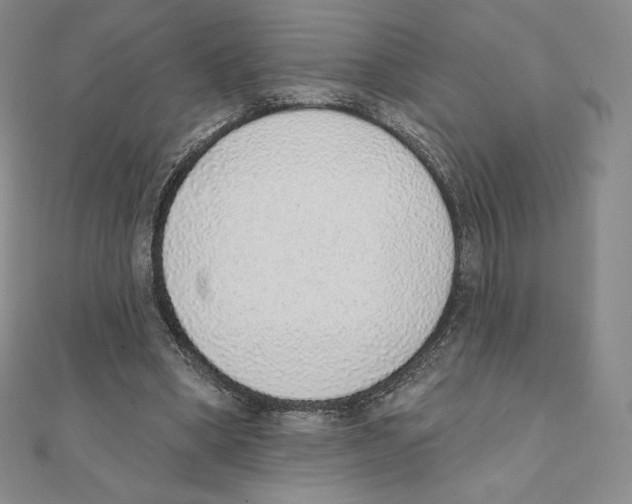 X0000111130394200907281055