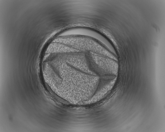 X0000111130395200907281055