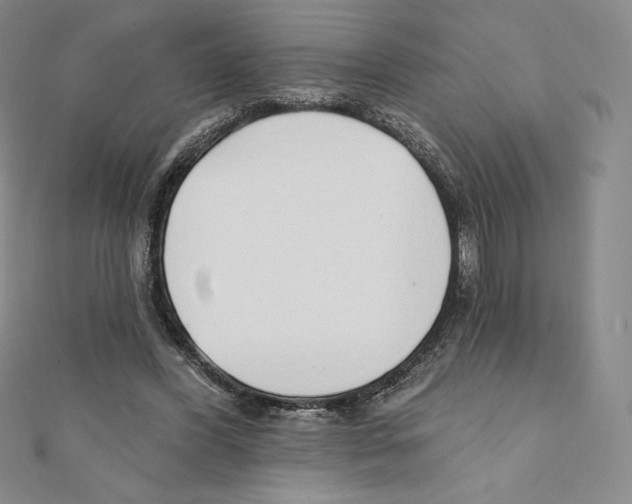 X0000111130396200907281055