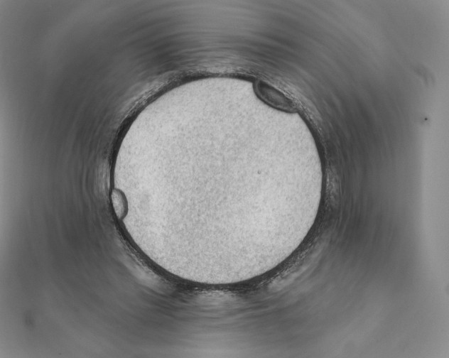 X0000111130397200907281055