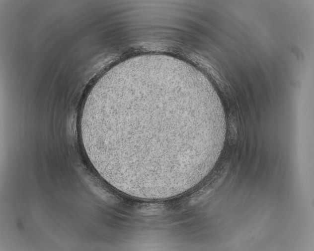 X0000111130398200907281055