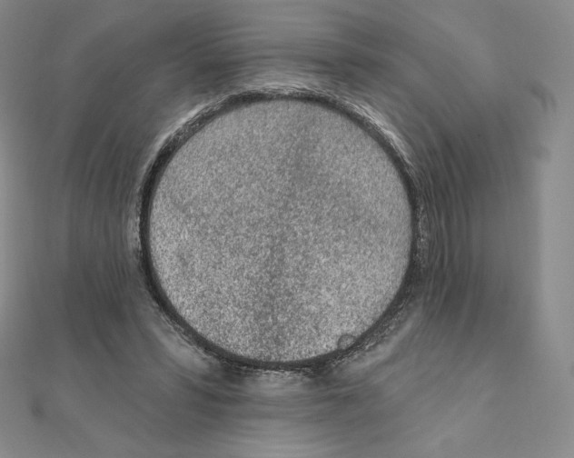 X0000111130399200907281055