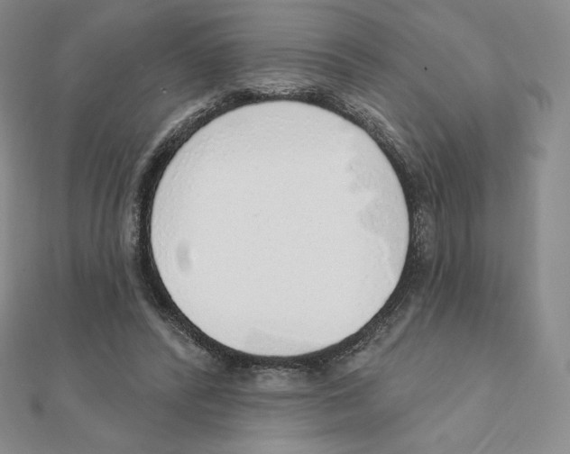 X0000111130400200907281055
