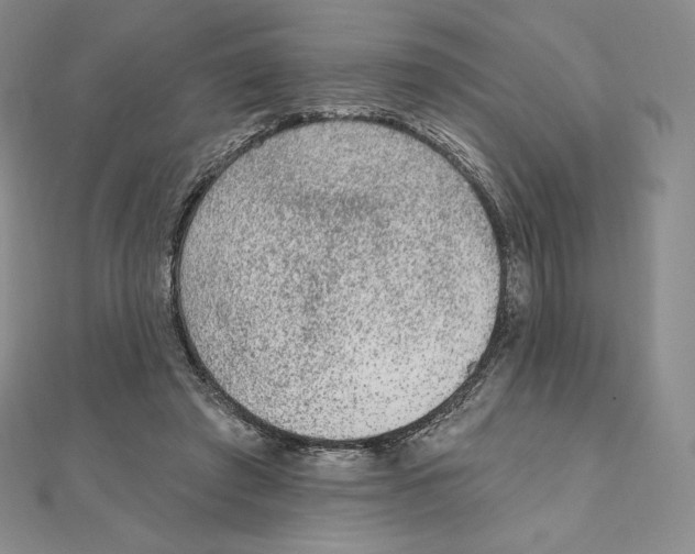 X0000111130401200907281055