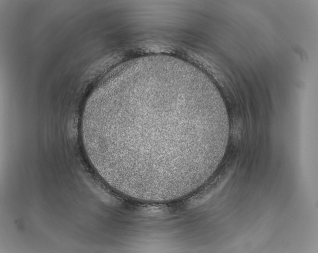 X0000111130402200907281055