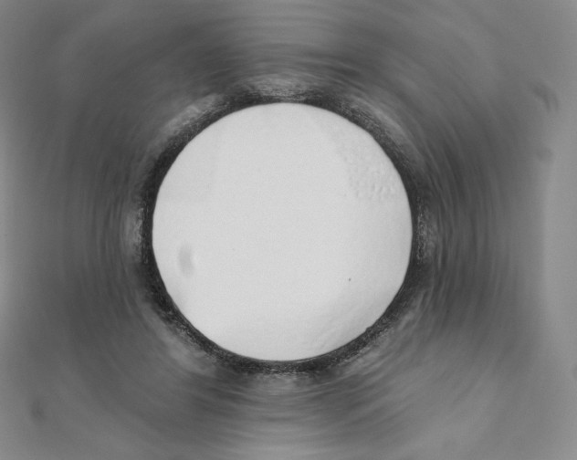 X0000111130404200907281055