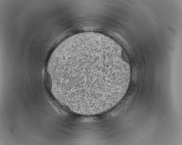 X0000111130405200907281055