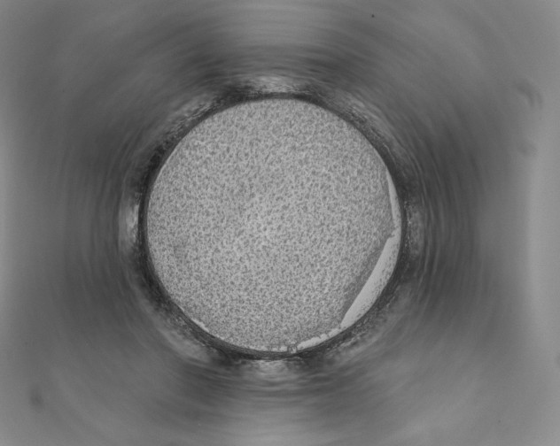 X0000111130406200907281055