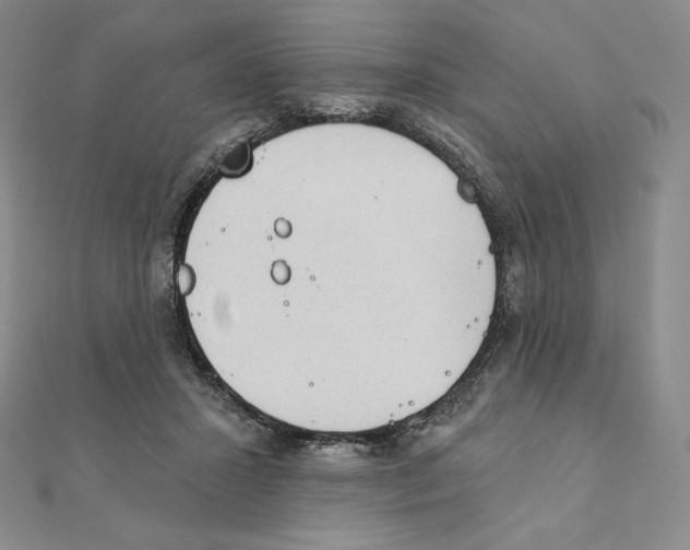 X0000111130407200907281055
