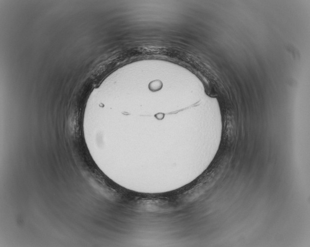 X0000111130408200907281055