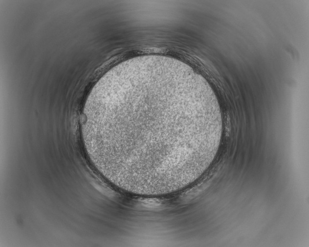 X0000111130409200907281055