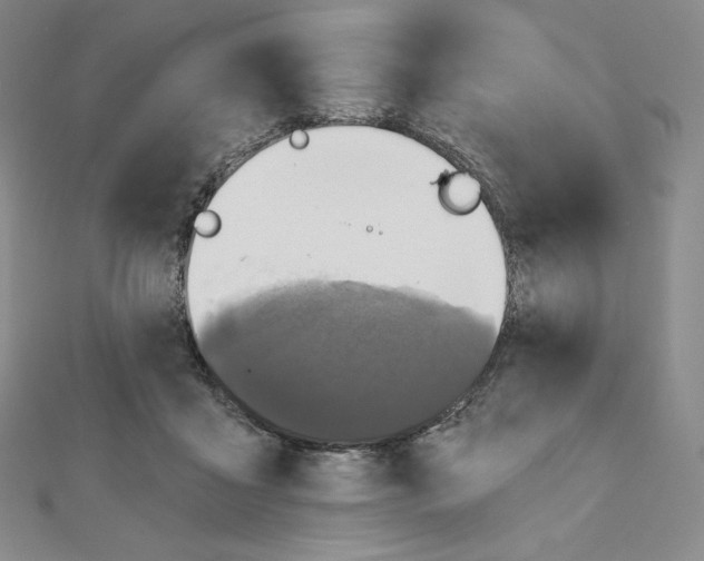 X0000111130411200907281055