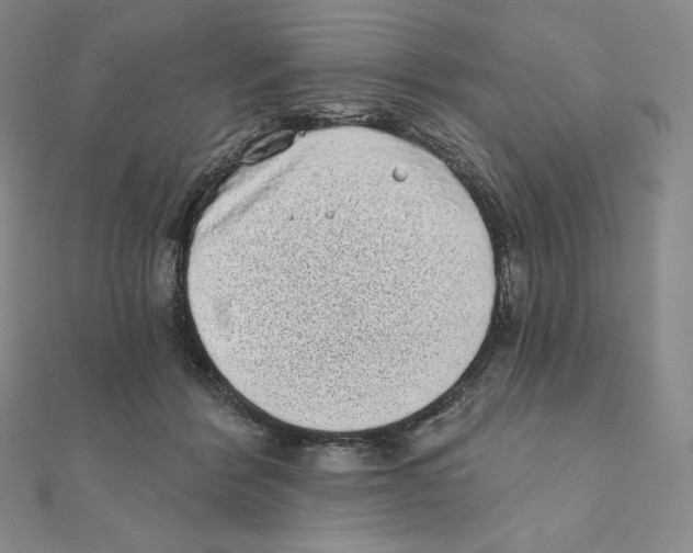 X0000111130412200907281055