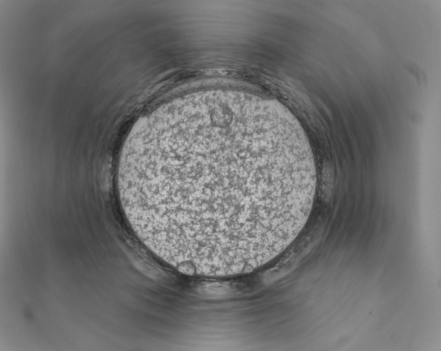 X0000111130413200907281055
