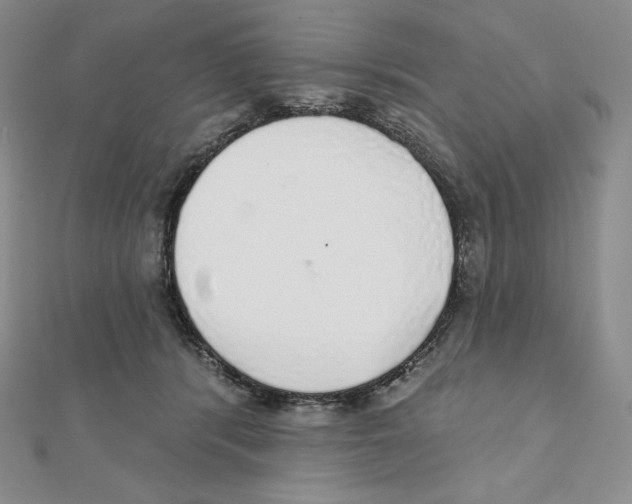 X0000111130416200907281055