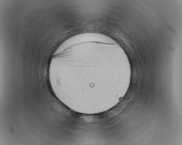 X0000111130417200907281055