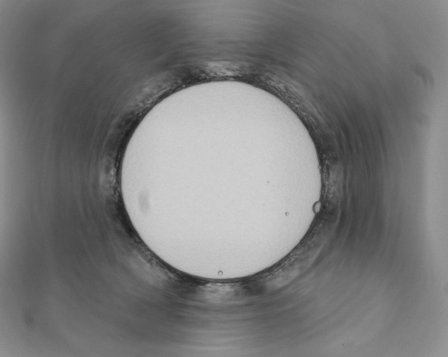 X0000111130418200907281055