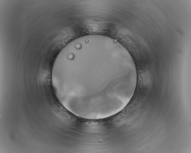 X0000111130419200907281055