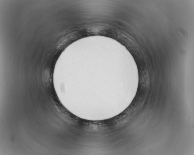 X0000111130420200907281055