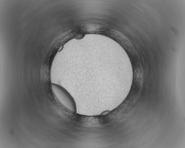 X0000111130421200907281055