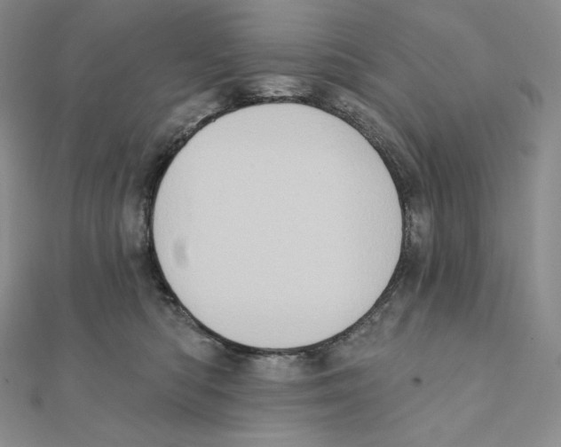 X0000111130422200907281055