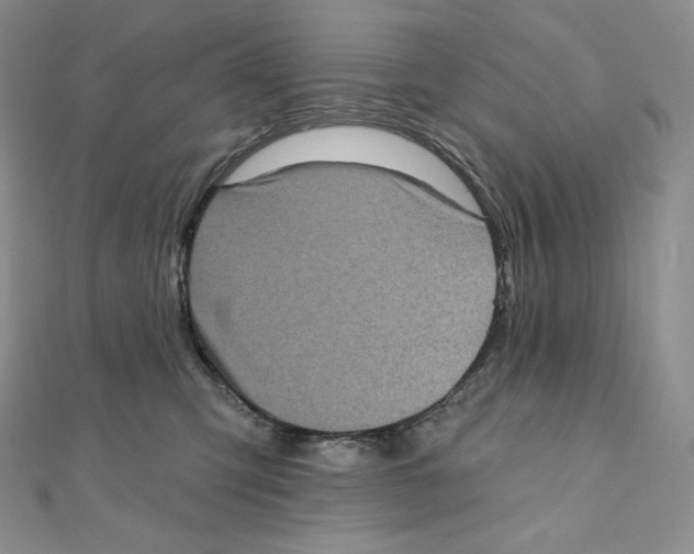X0000111130423200907281055