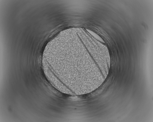 X0000111130425200907281055