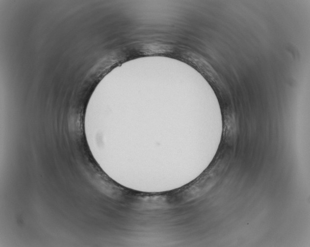 X0000111130426200907281055